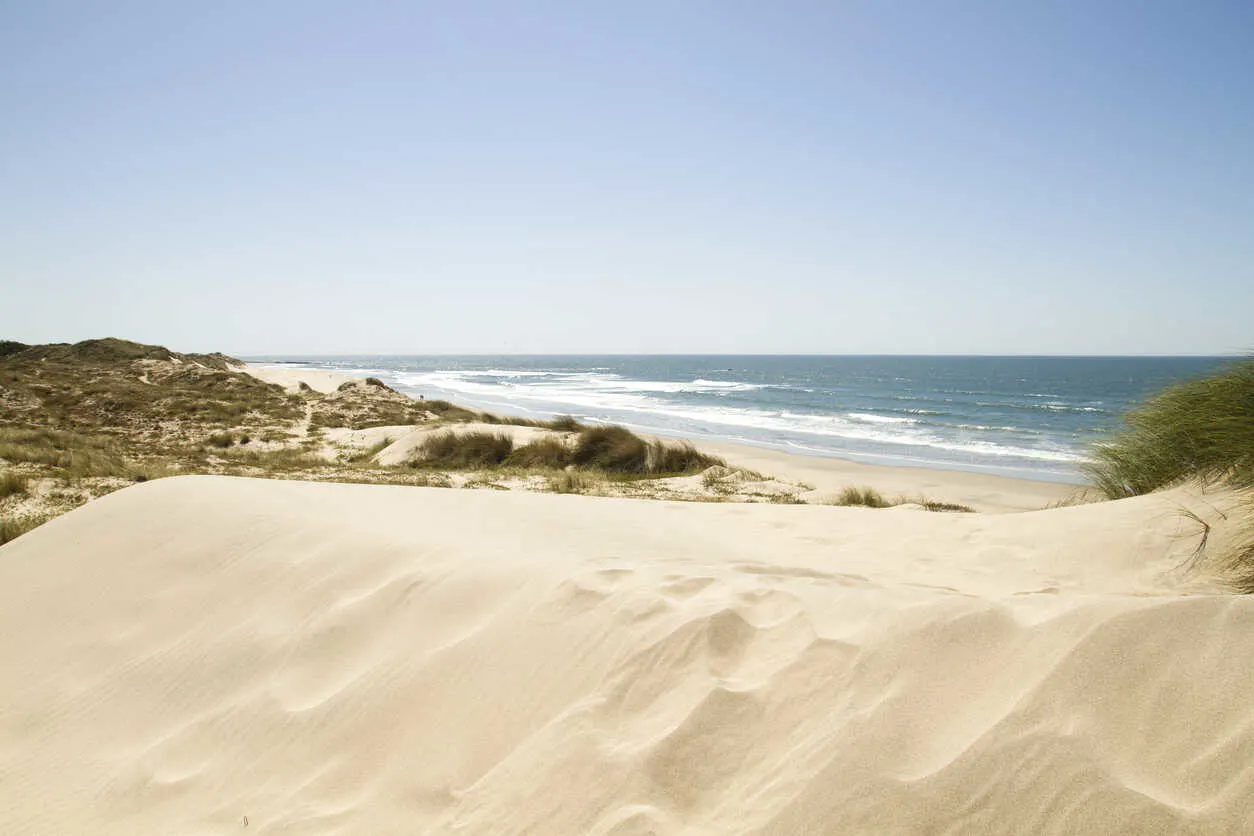 Golden sand dunes at Cavadelo Beach in Viana do Castelo.