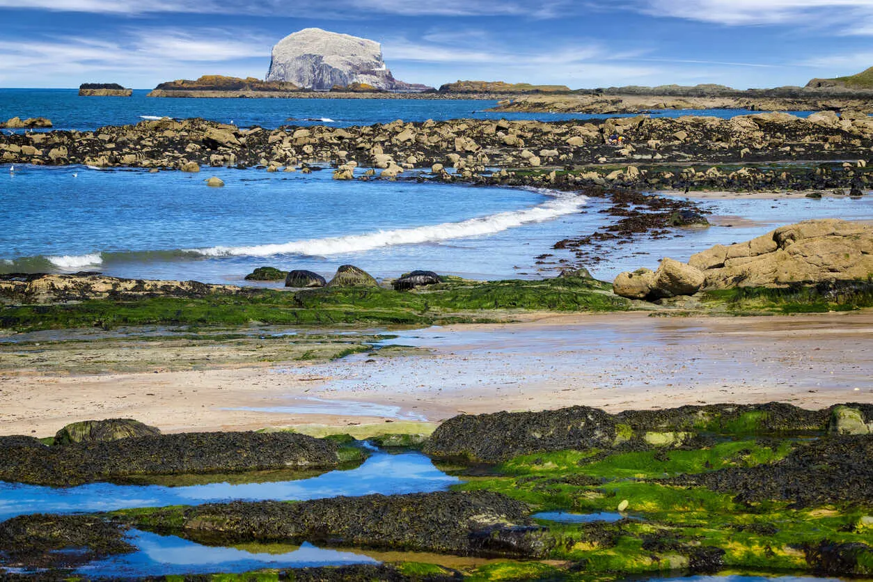 On Scotland’s eastern edge… a volcanic isle turned seabird sanctuary marks one of the UK’s most dramatic coastal views.