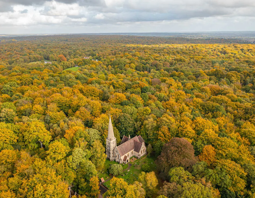 Epping Forest’s ancient trails hide Iron Age forts, royal hunting lodges, and remnants of WWII bomb craters.