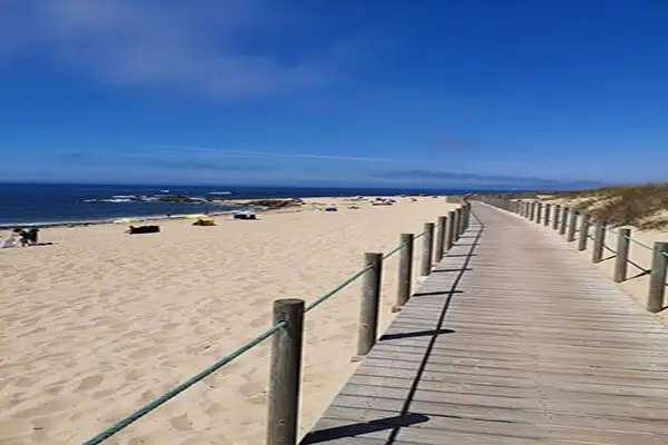 You can walk for miles along this boardwalk...