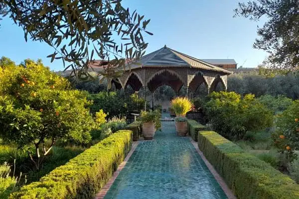 Take a break from Marrakech’s busy Medina to relax your senses at Le Jardin Secret (“The Secret Garden”), featuring plants and trees from five continents. ©David Gibb