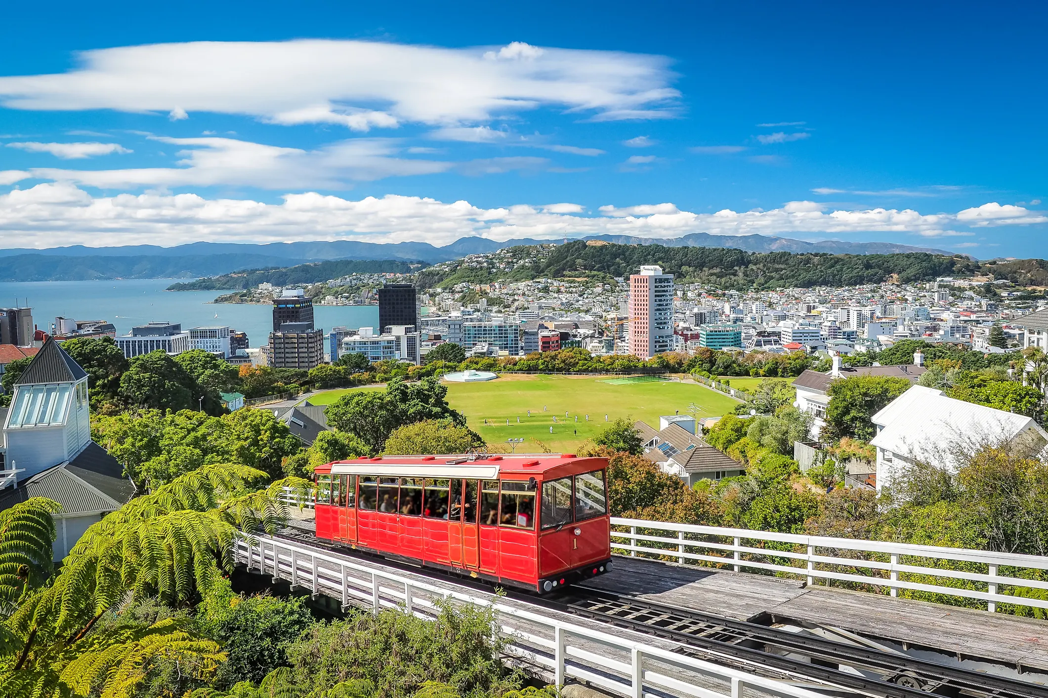 Wellington, New Zealand