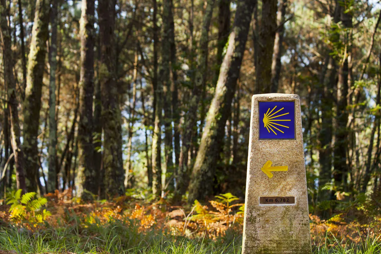 Milestone along the Camino de Santiago, marking the path for walkers through the forest.