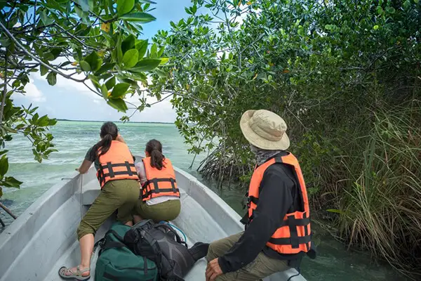 Eco-tourists flock to the Sian Ka-an Biosphere Reserve, which further blocks development of the land around Tulum to the south.