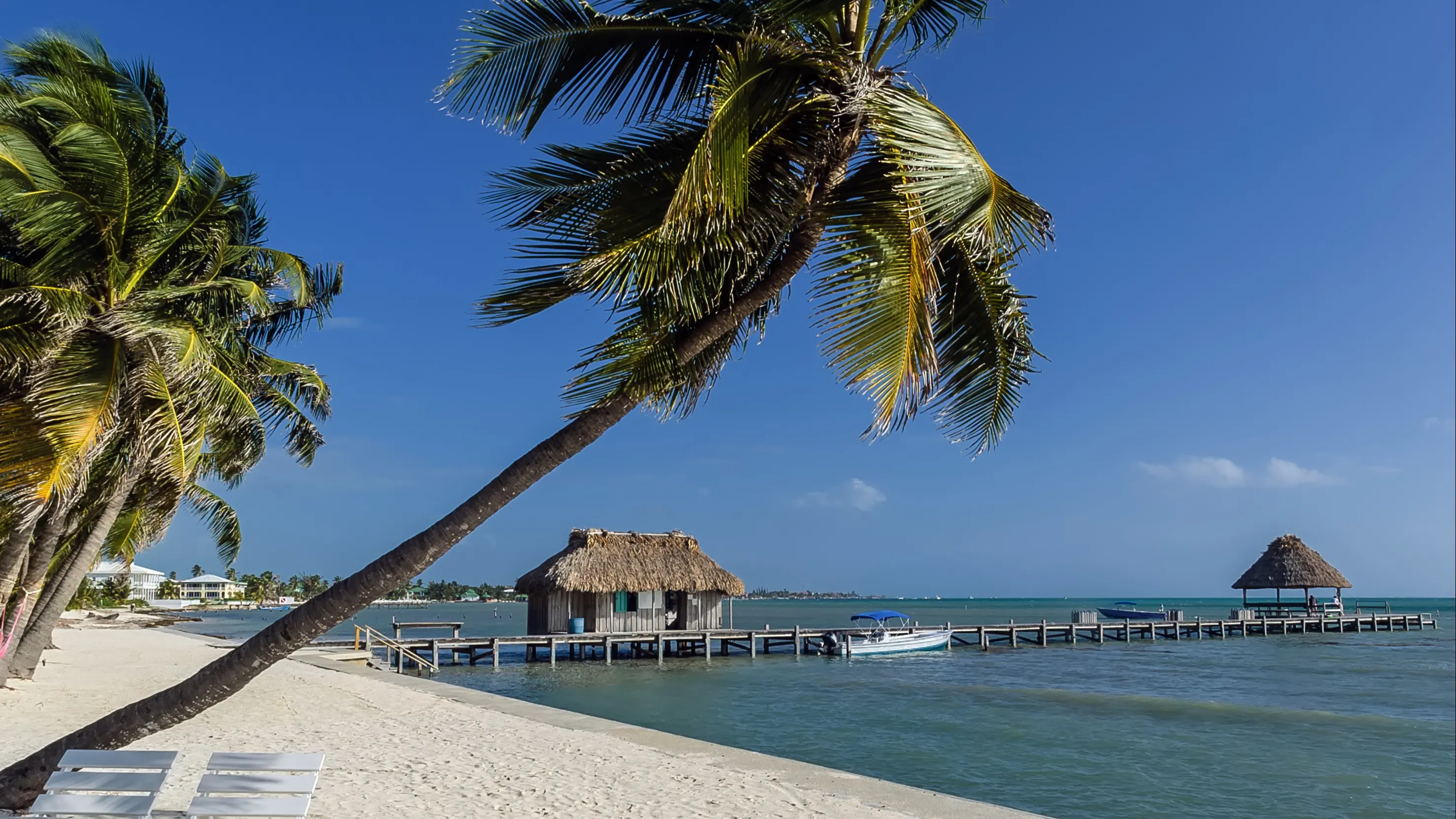 ©iStock/Ed-Ni-Photo