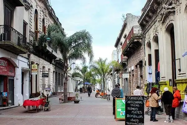 Wine in Uruguay