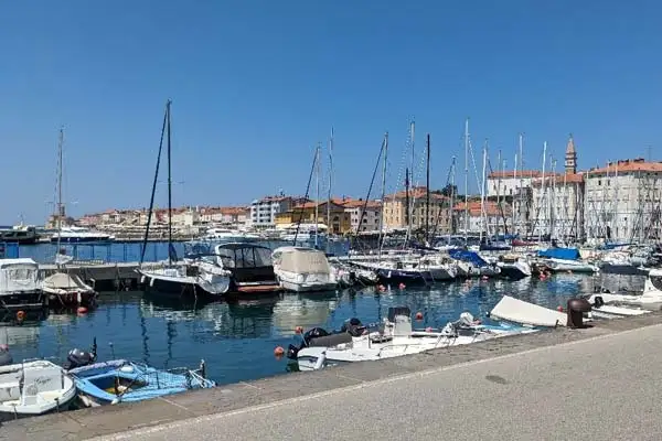 Koper. ©Norm Younger