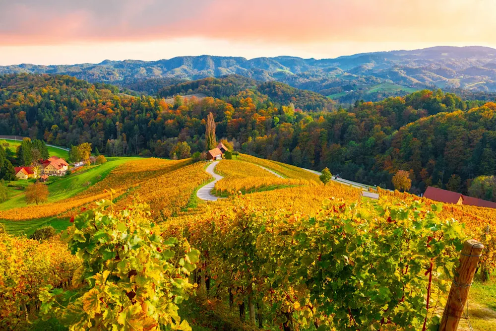 Maribor’s picturesque streets and vineyards make it a great place to live.