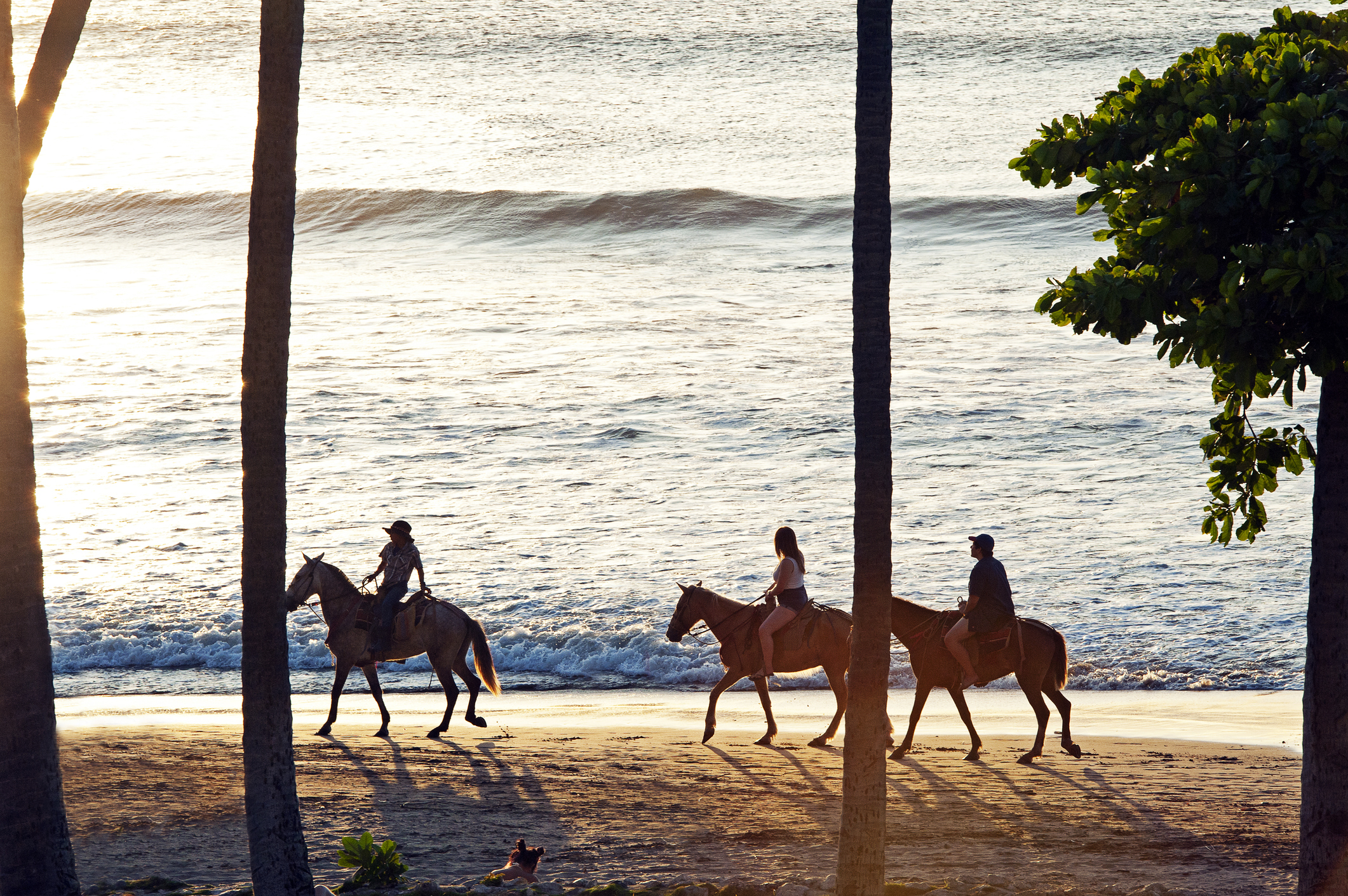 Costa Rica's Billionaire Playground Reopens - International Living