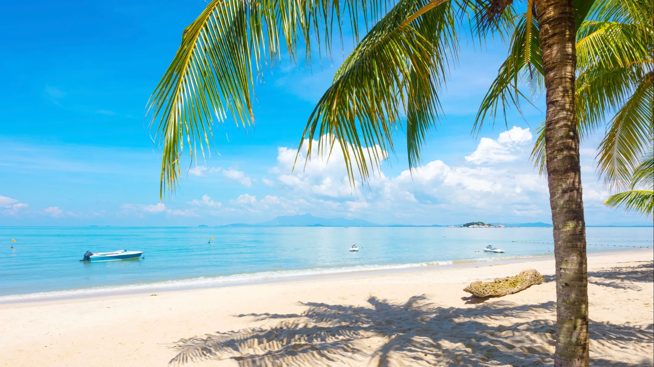©iStock/kjekol
