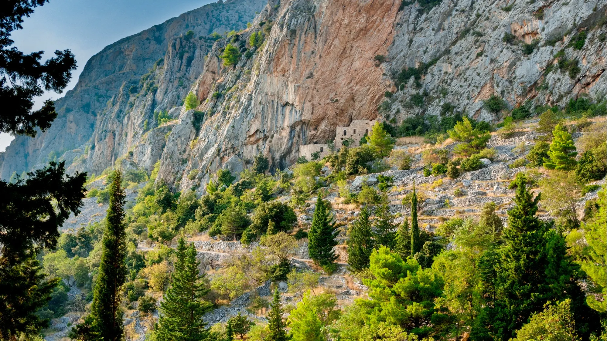 ©iStock/piotr borkowski