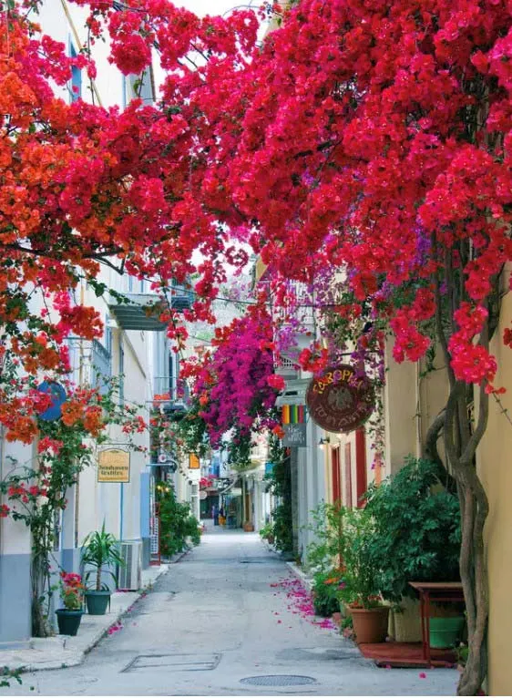 The streets of Nafplio’s old town are pleasant to stroll through and feature a selection of stores, bars, and restaurants. ©Jacelyn Holmes