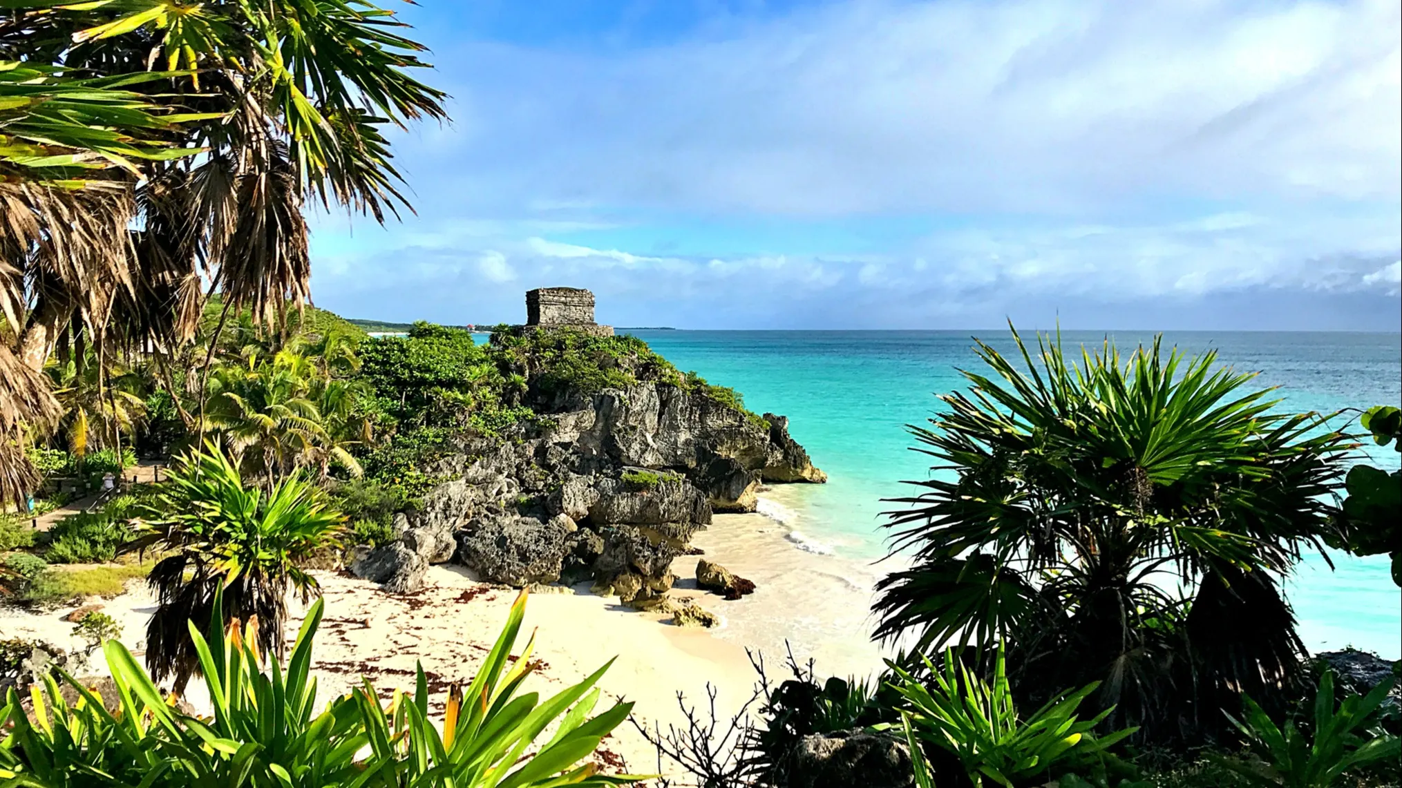 ©iStock/Vince Barnes