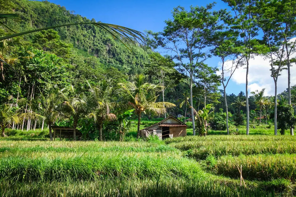 Sidemen is a peaceful retreat of waterfalls, rice fields, and village serenity.