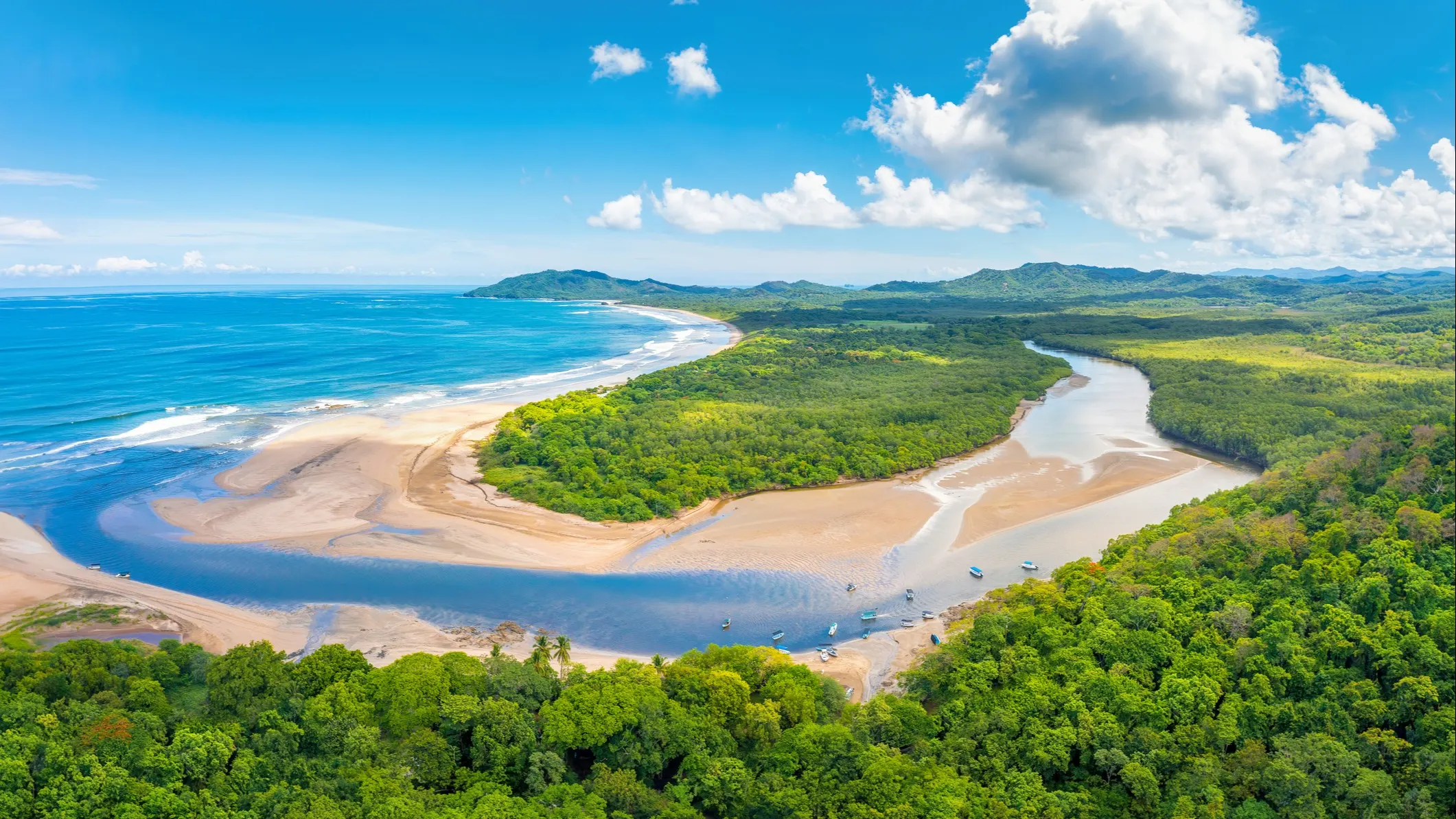 ©iStock/Caroline Brundle Bugge