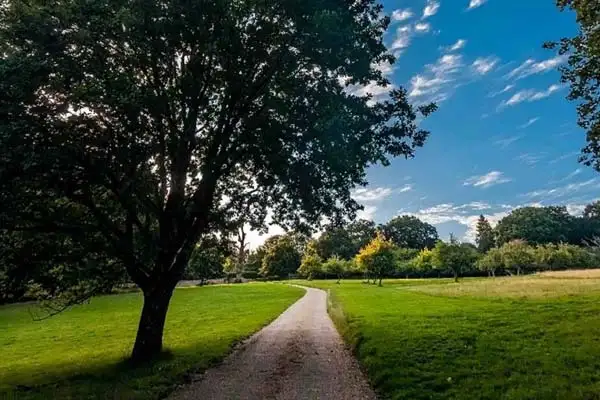 Yvonne and Michael's final free stay in England was at the end of this private country road. ©Michael Bauche