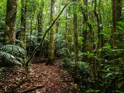 Monteverde is a major eco-tourism destination and you'll find a small community of expats living there.