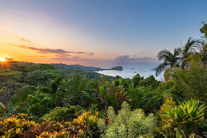 Where tropical rainforest meets white-sand beaches and rich wildlife.