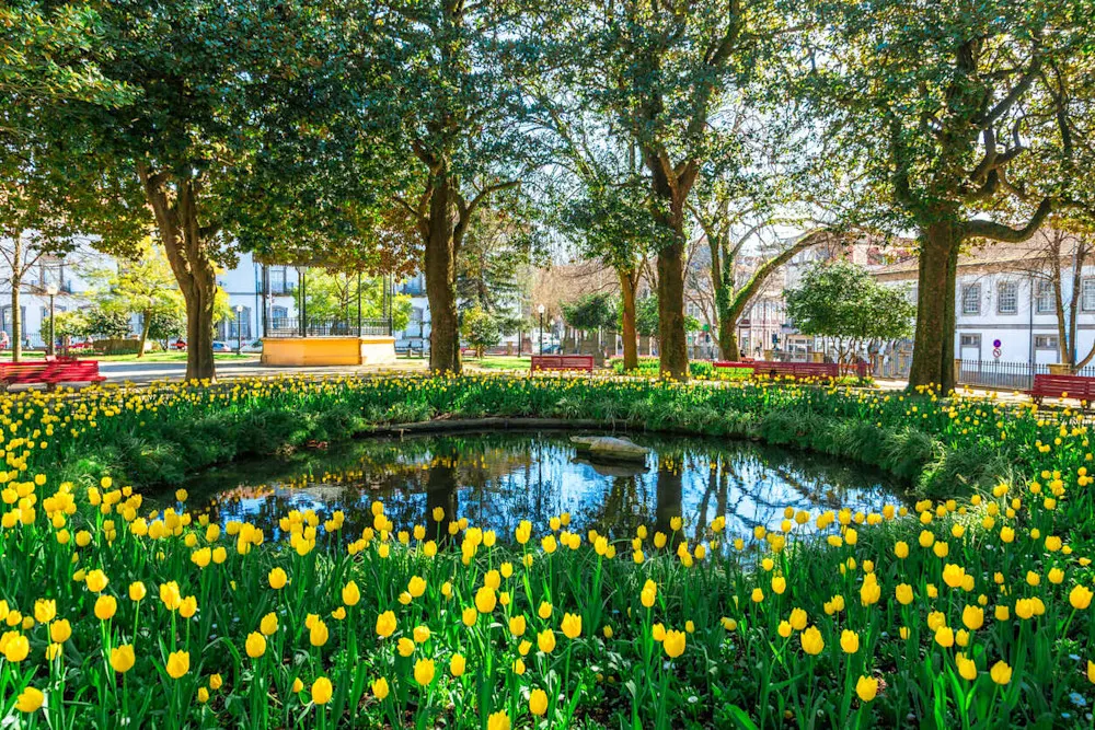 Porto’s parks offer peaceful green space, city views, and unexpected beauty.