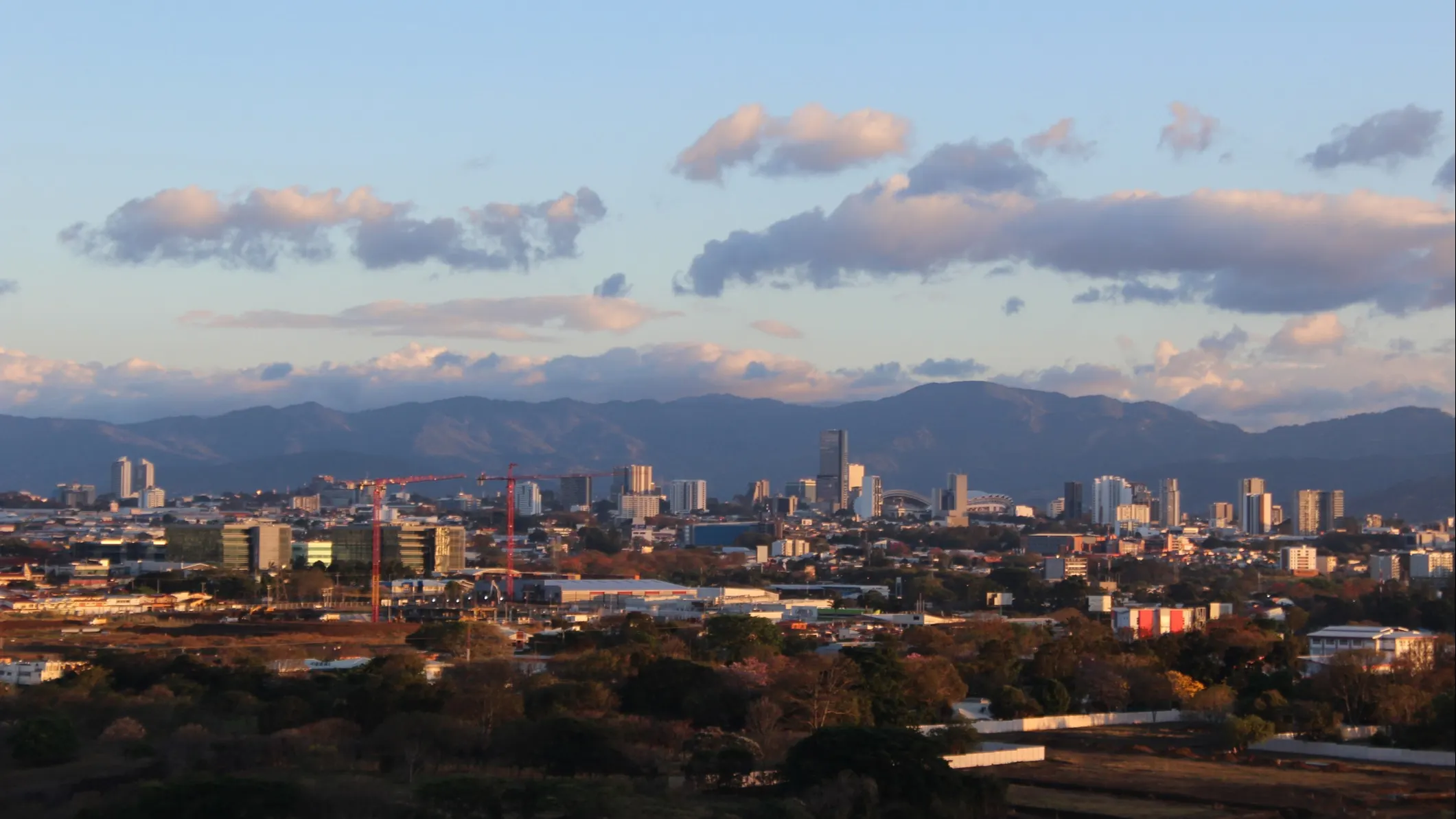 ©iStock/Leo botanist