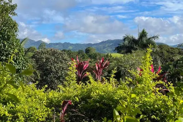 In Costa Rica’s Central Valley, you can enjoy beautiful views and an ideal climate.