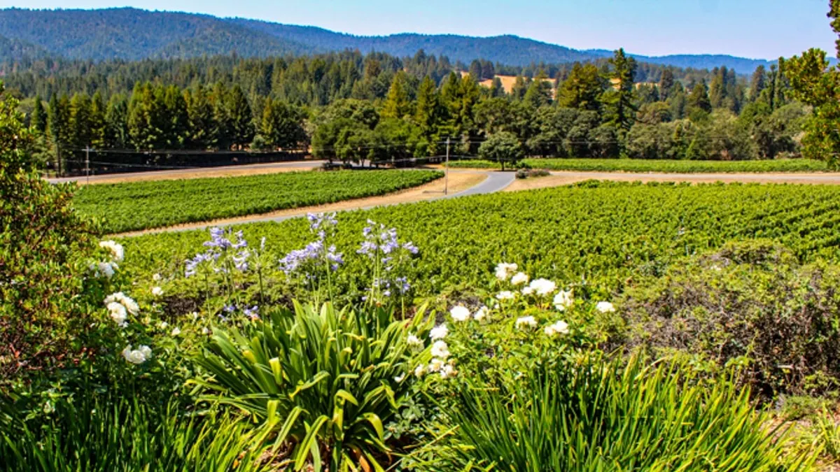 Anderson Valley, California, is an almost secret wine-growing region. 