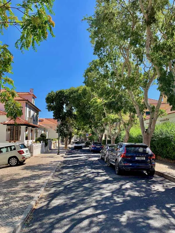 The tree-lined street where Yulia wants to live…