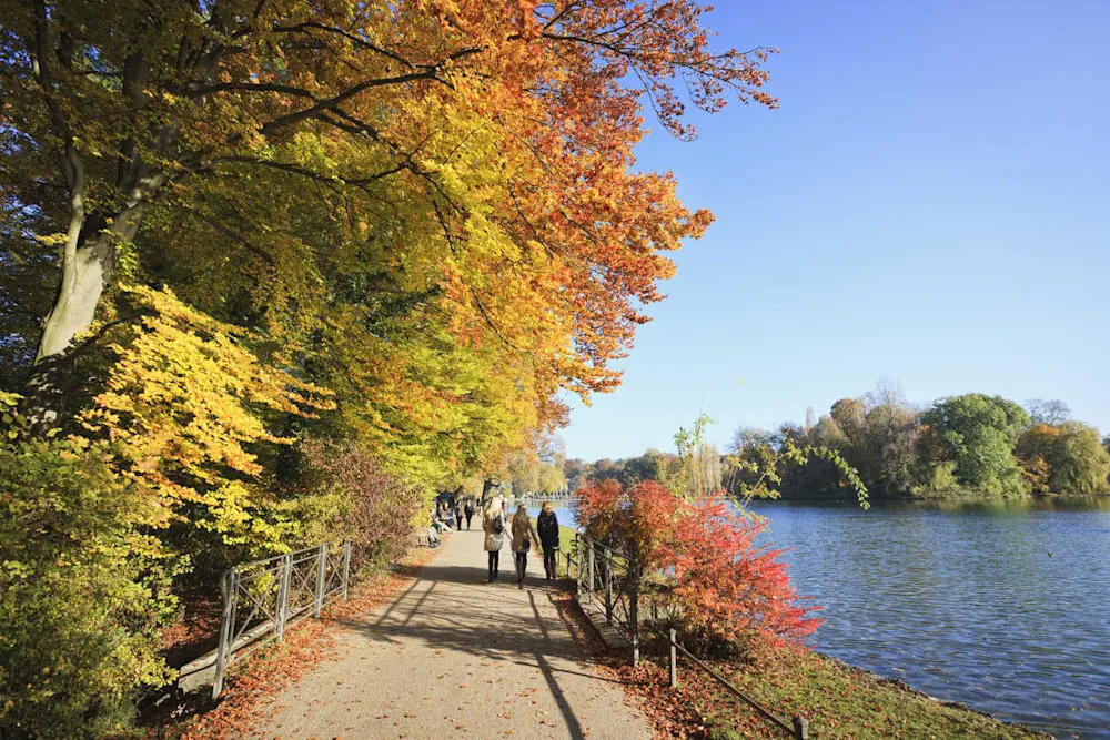 Strolling the English Garden trails, soaking up crisp air and autumn colors.