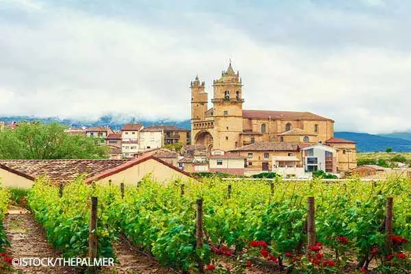 Wine in Spain