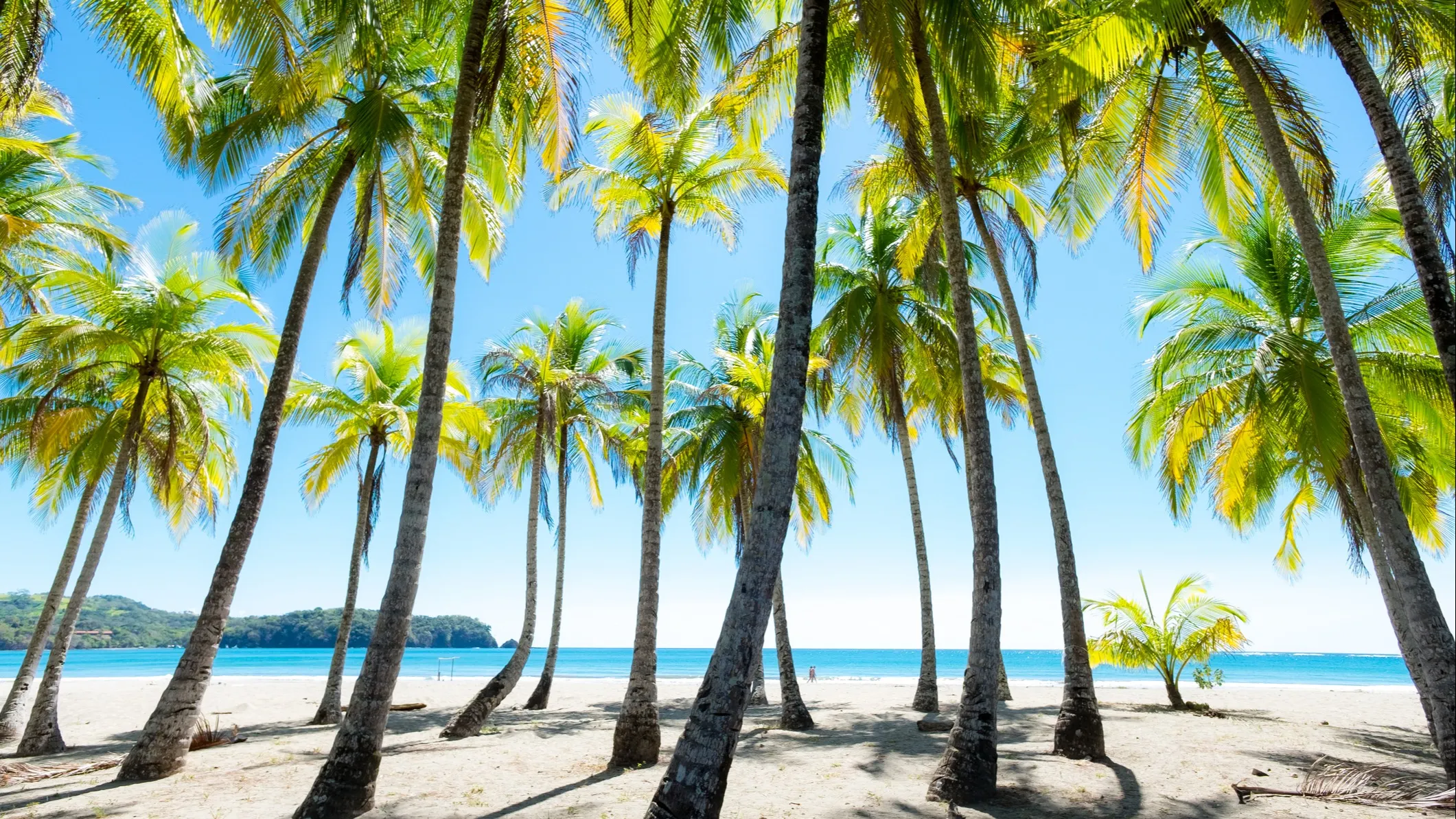 ©iStock/Thomas Ramsauer