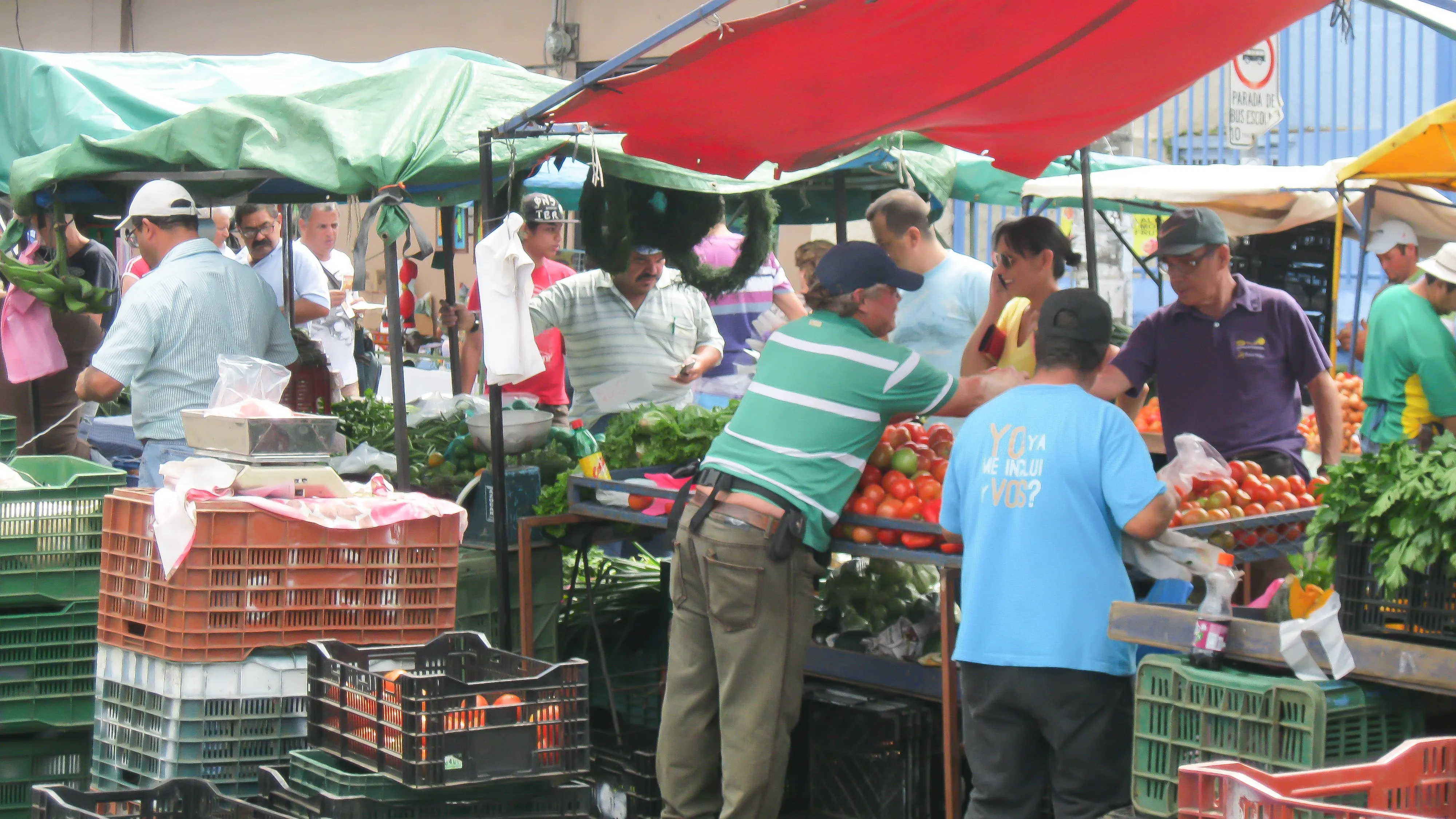 Escazu "Feria", Central Valley, Costa Rica