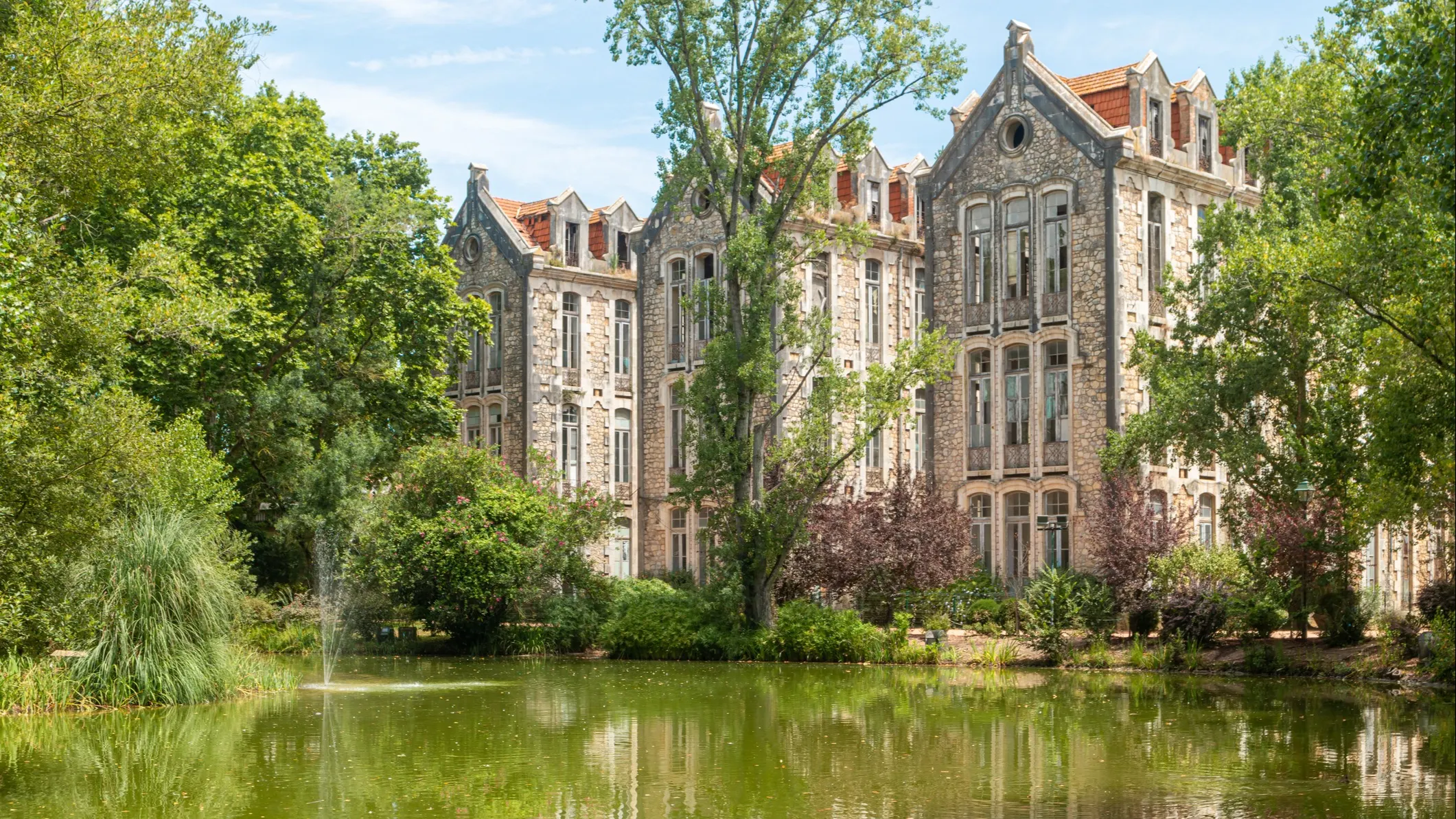 ©iStock/AnaMOMarques