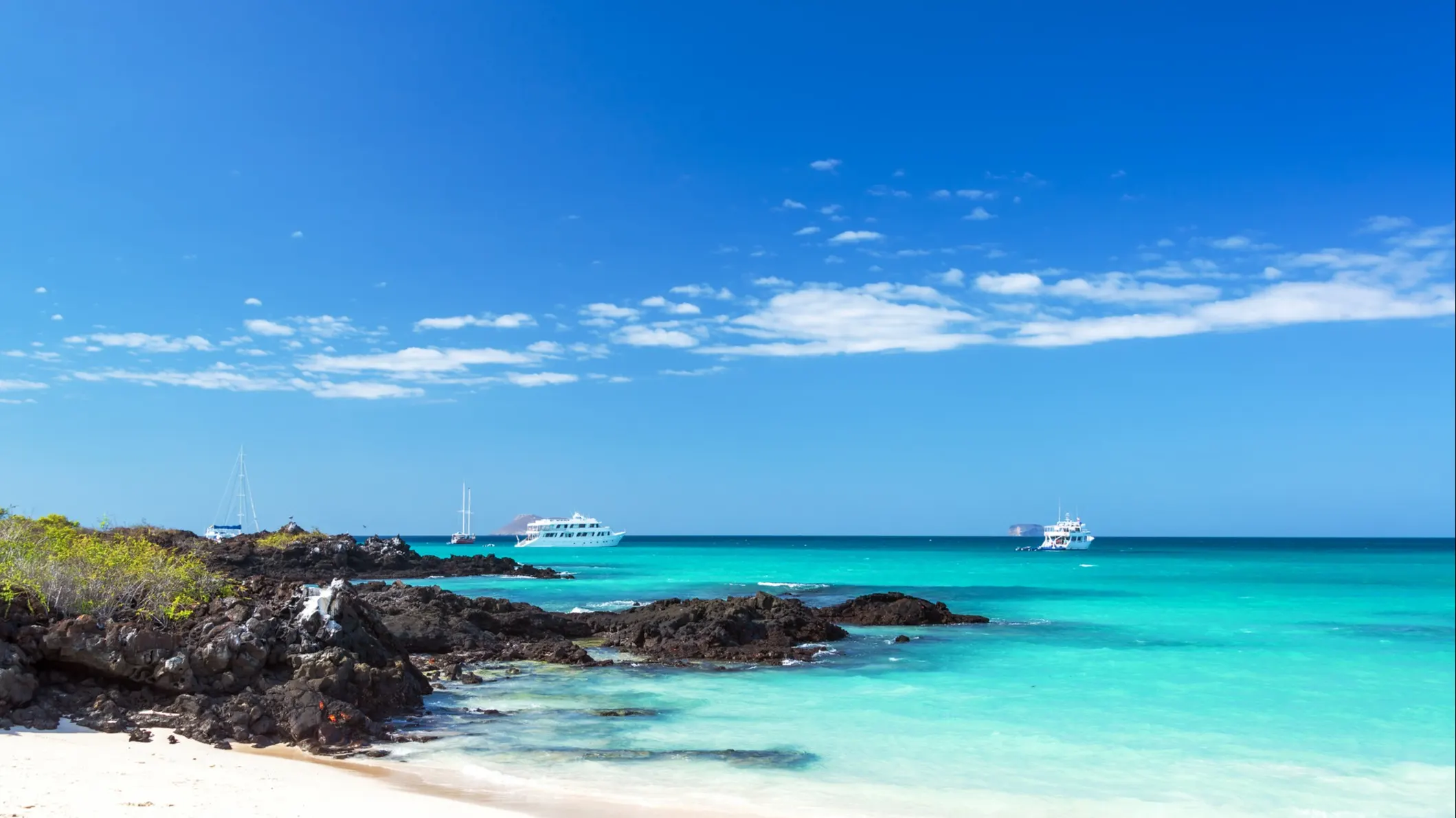 ©iStock/DC_Colombia