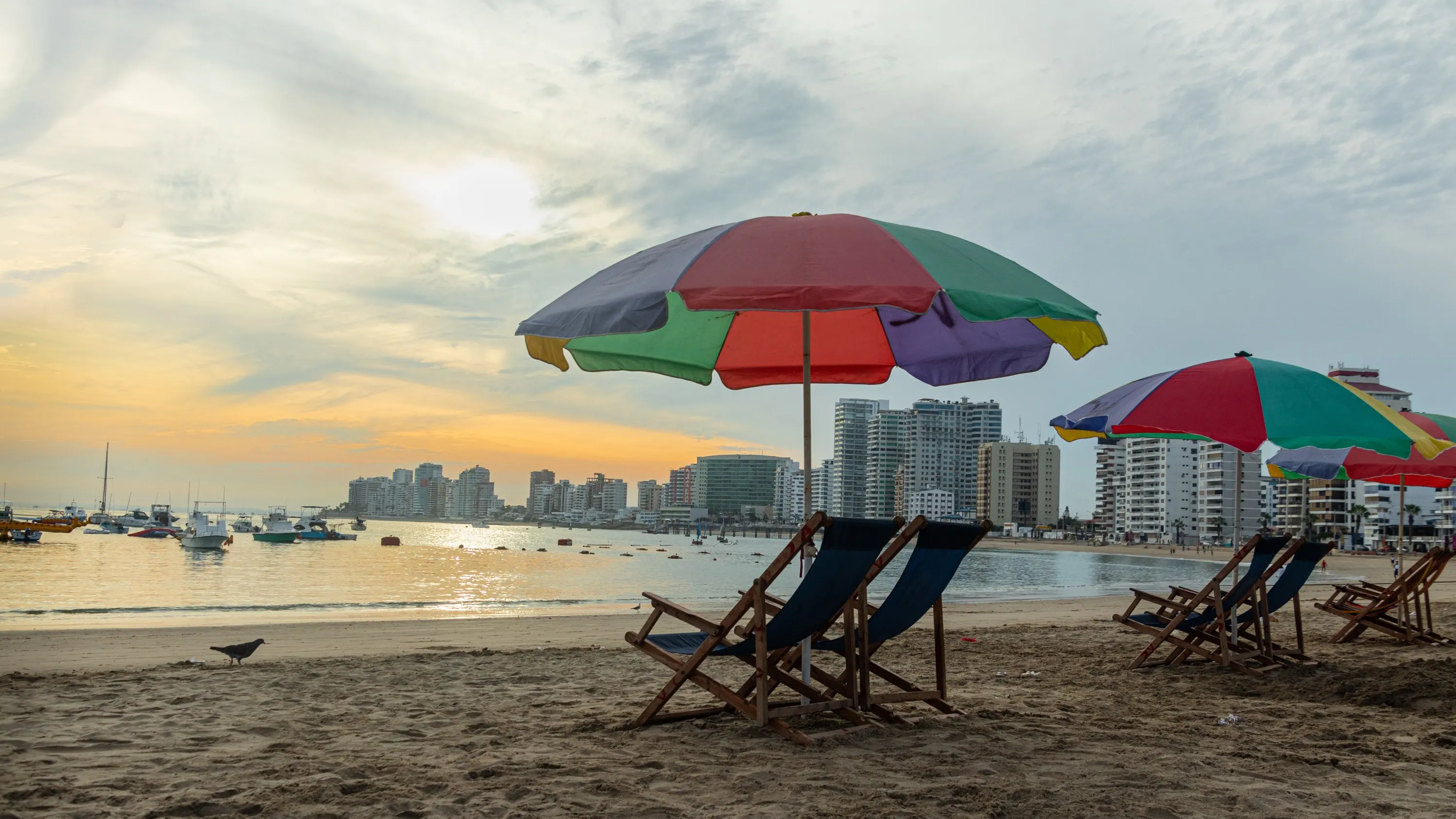 ©iStock/IRYNA KURILOVYCH