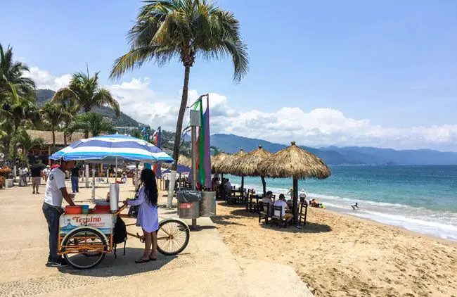 Puerto Vallarta is Recognized for its Vegan Restaurant Offer - Vallarta  Lifestyles