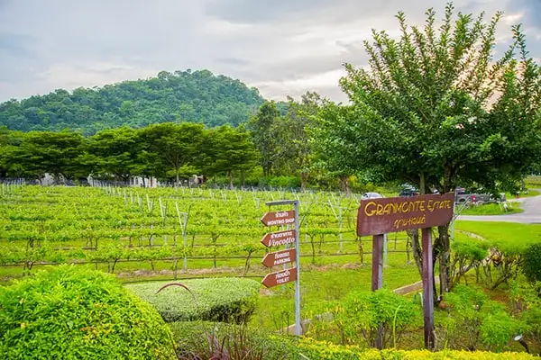 Khao-Yai-min.jpg