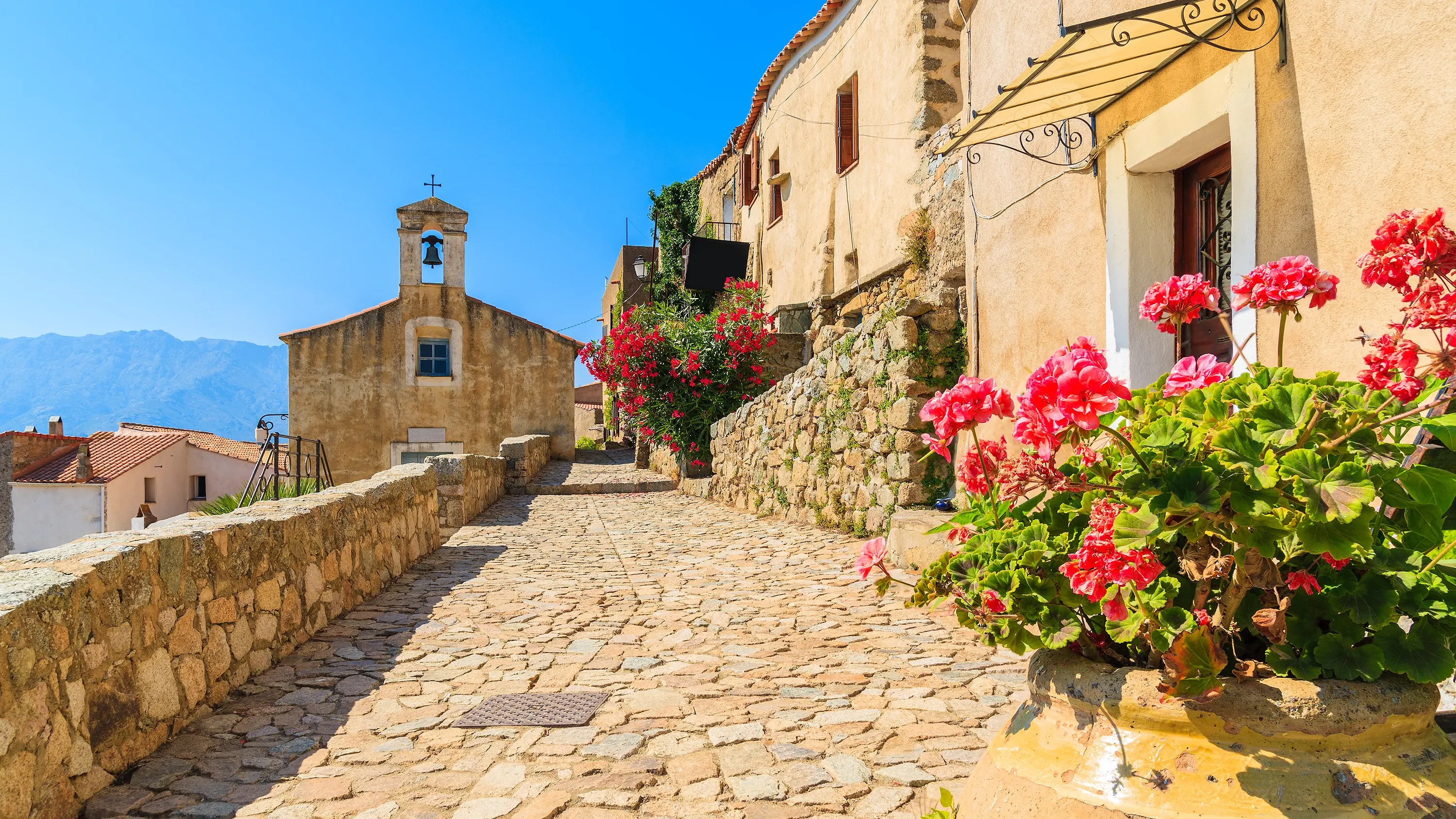 ©iStock/Pkazmierczak