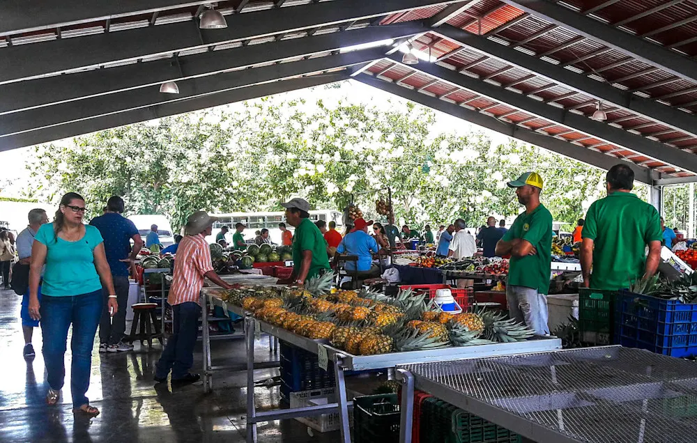Atenas’ farmers’ market offers fresh, local produce for a healthy lifestyle.