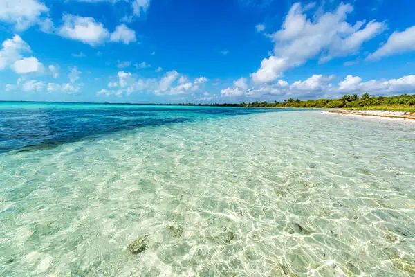 With crystal-clear waters like this, it's easy to see why people are drawn to this slice of tropical paradise.