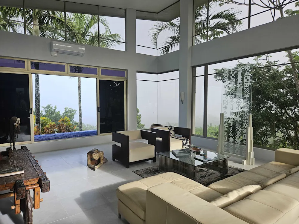 Clean lines, high ceilings, and glass everywhere—it’s like living in the trees.