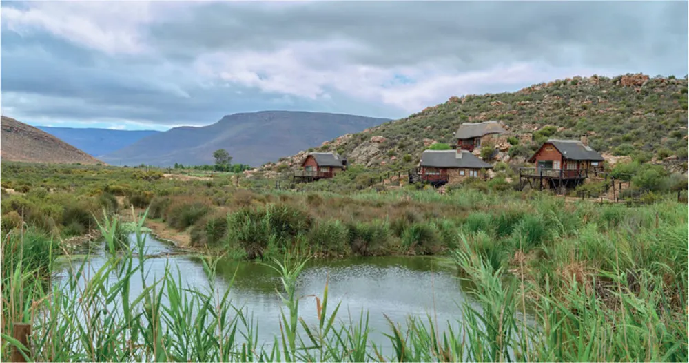 By sheer luck, we scored a magical wooden cottage built on a slight slope overlooking the Cogmans River.