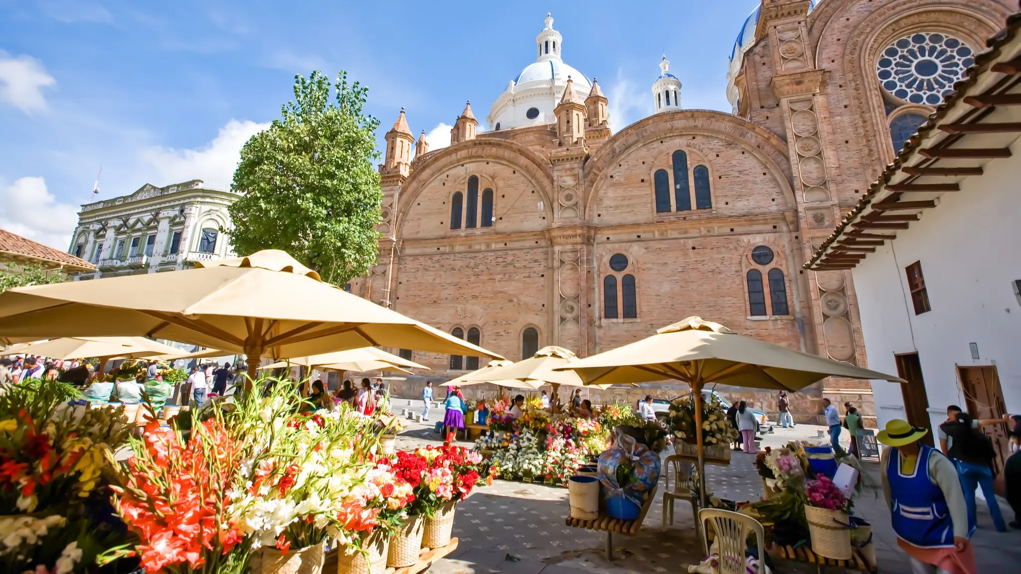 Flower Market, Cuenca, Ecuador