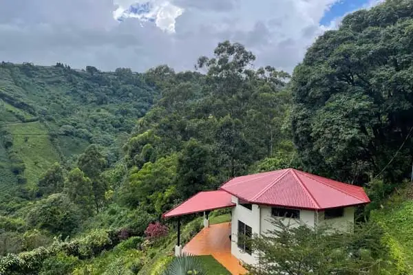 The Justs live on three acres of tropical garden and have views over the surrounding verdant countryside, much of which is coffee plantations. This is Jim’s writing studio.