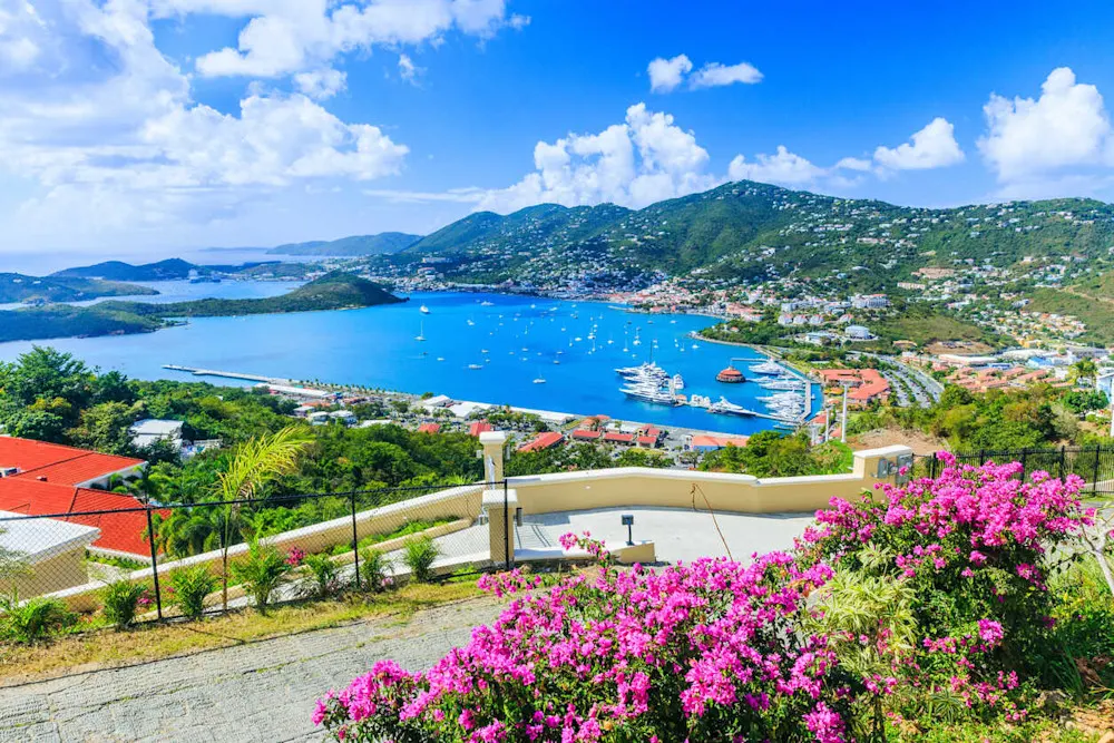 Gorgeous but pricey—high costs limit appeal.
