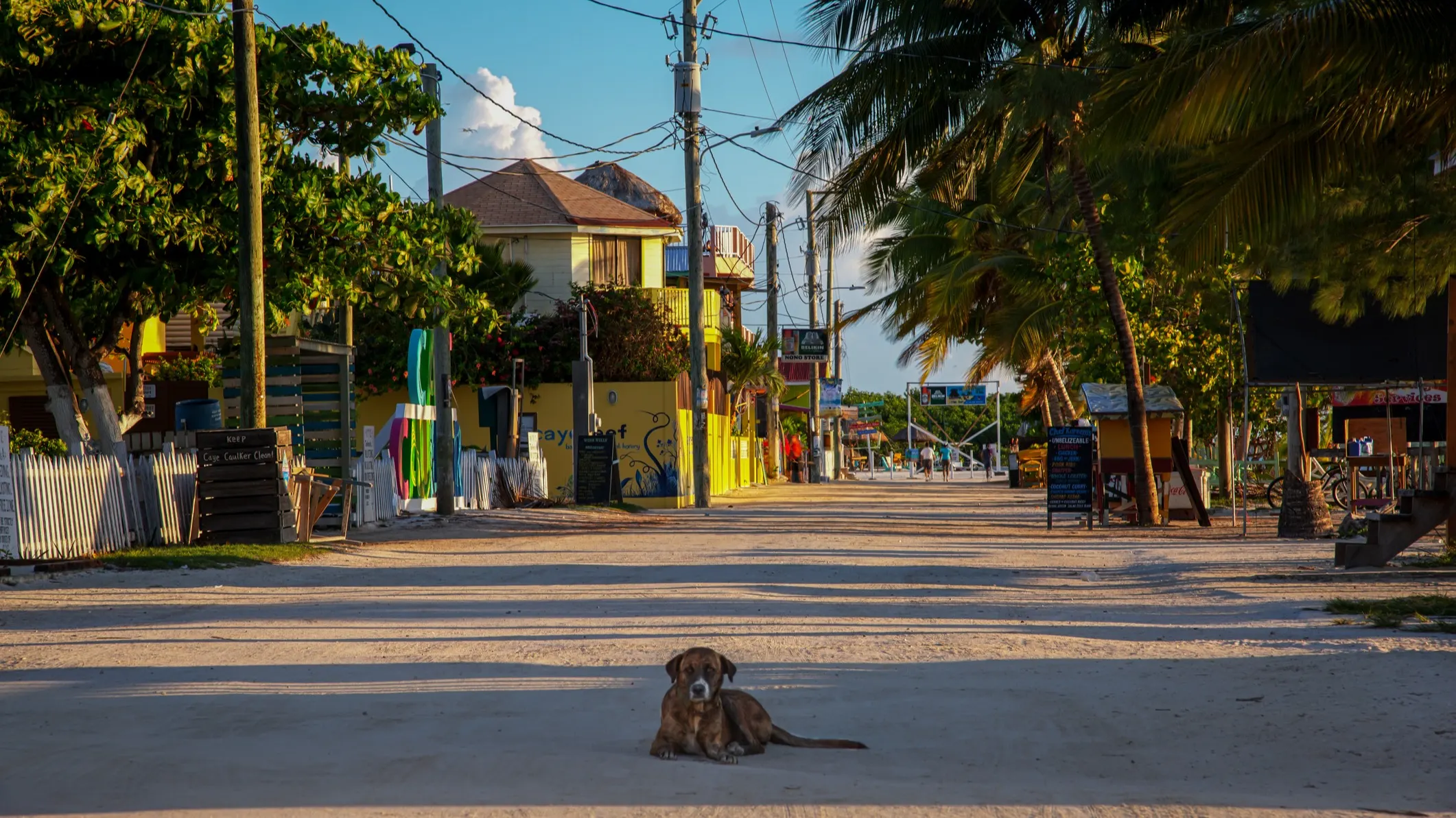 ©iStock/Daynjer-In-Focus