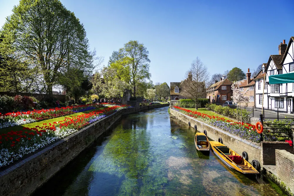 The UK is seeing a rise in American applicants for residency.
