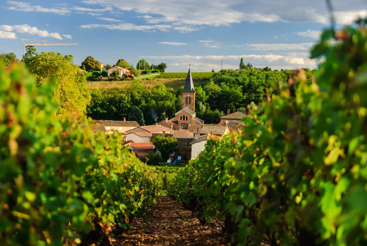 Beaujolais: A hidden gem of rolling vineyards and charming villages in the heart of French wine country.