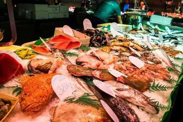 There’s no shortage of fish to feast on in Catalonia.