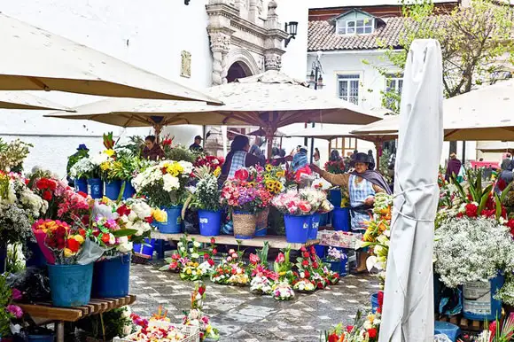 Plaza de las Flores offers a wide range of colorful flowers at exceptionally low prices
