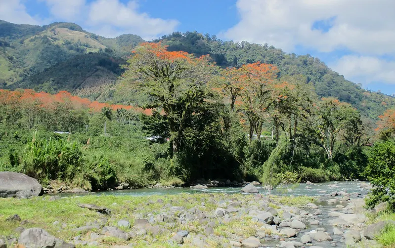 A breathtaking view of the Orosi Valley, showcasing its vibrant greenery and stunning natural beauty.